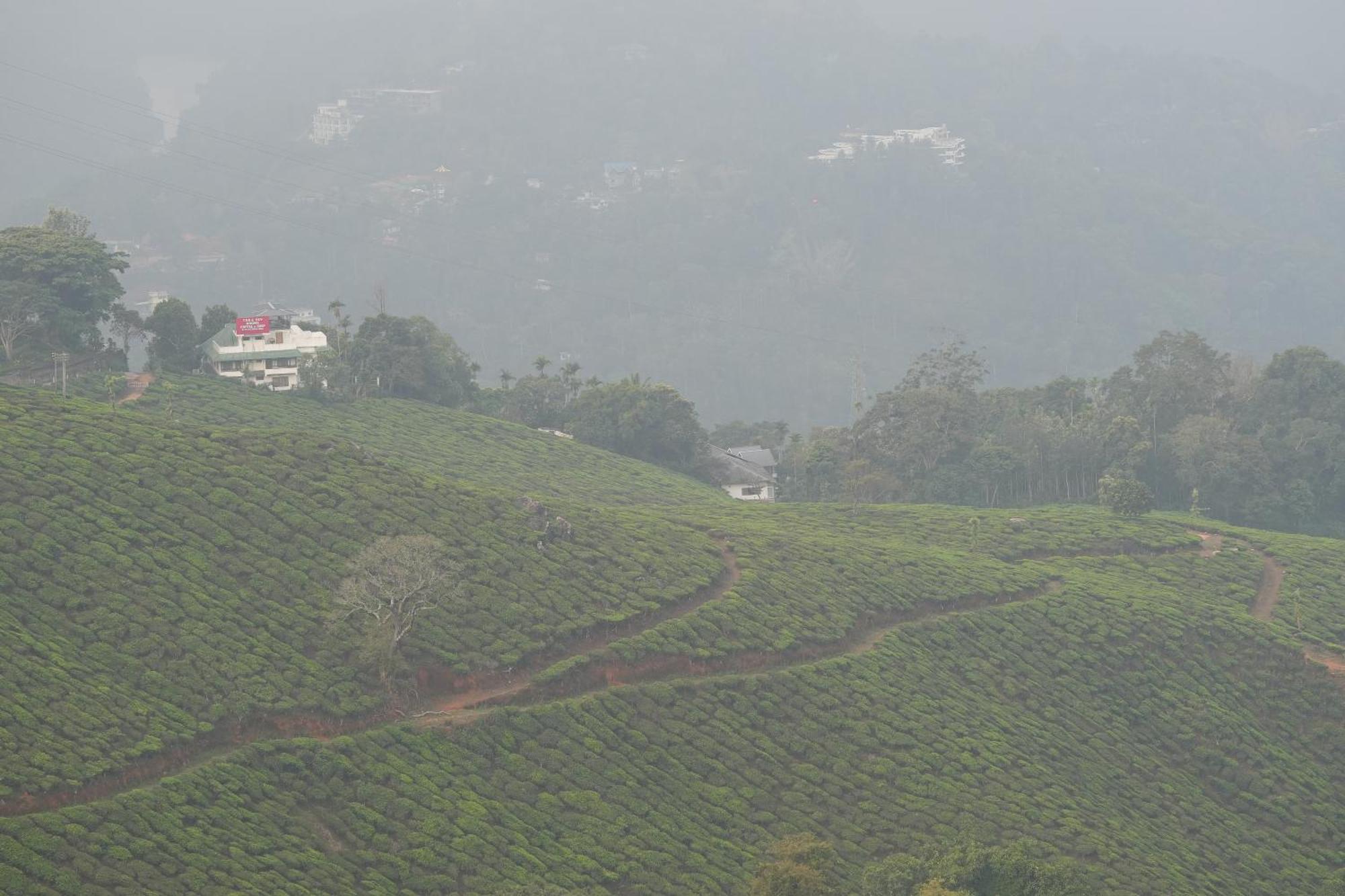 Misty Bush Munnar Bed & Breakfast Exterior photo