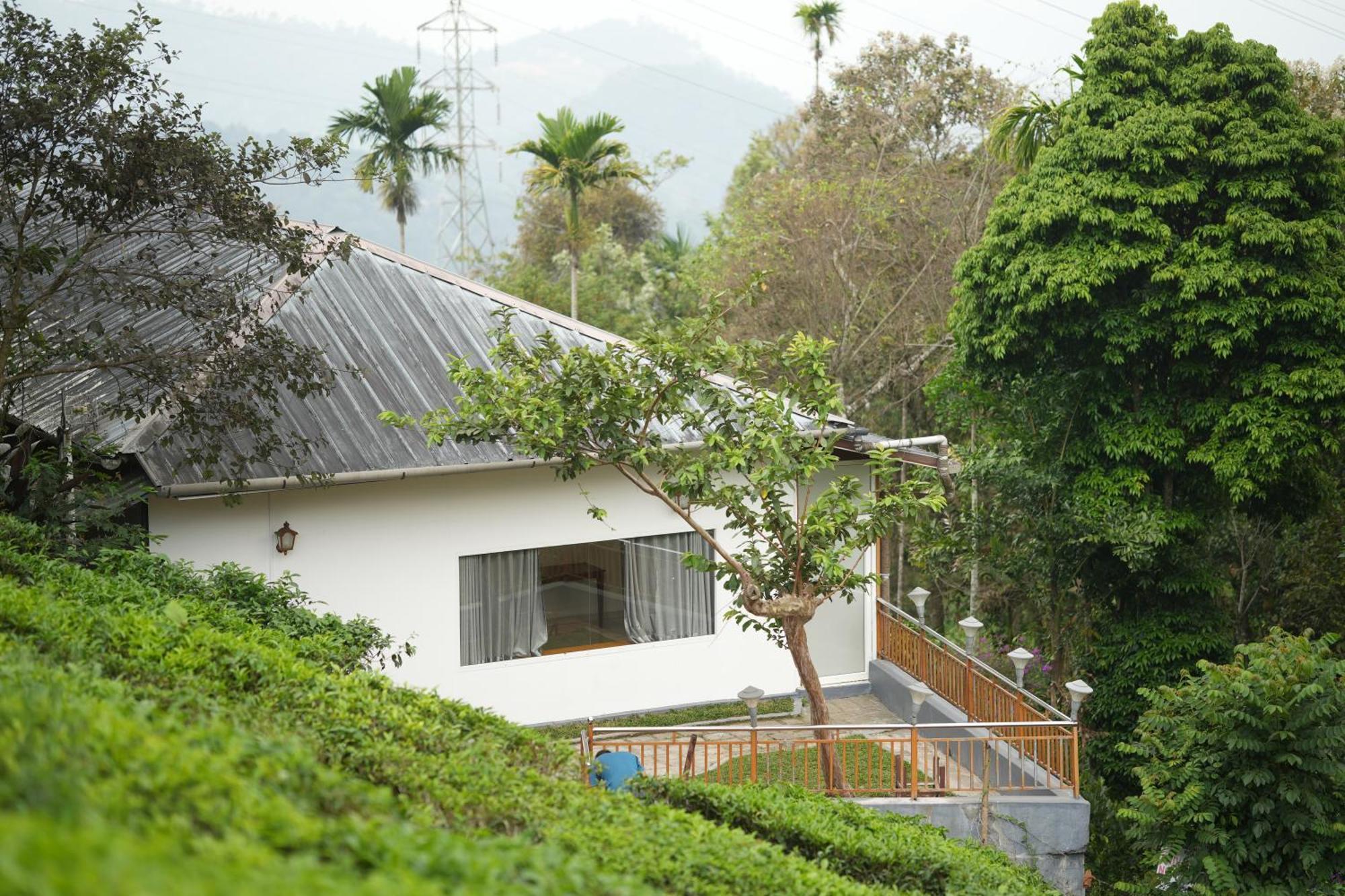 Misty Bush Munnar Bed & Breakfast Exterior photo
